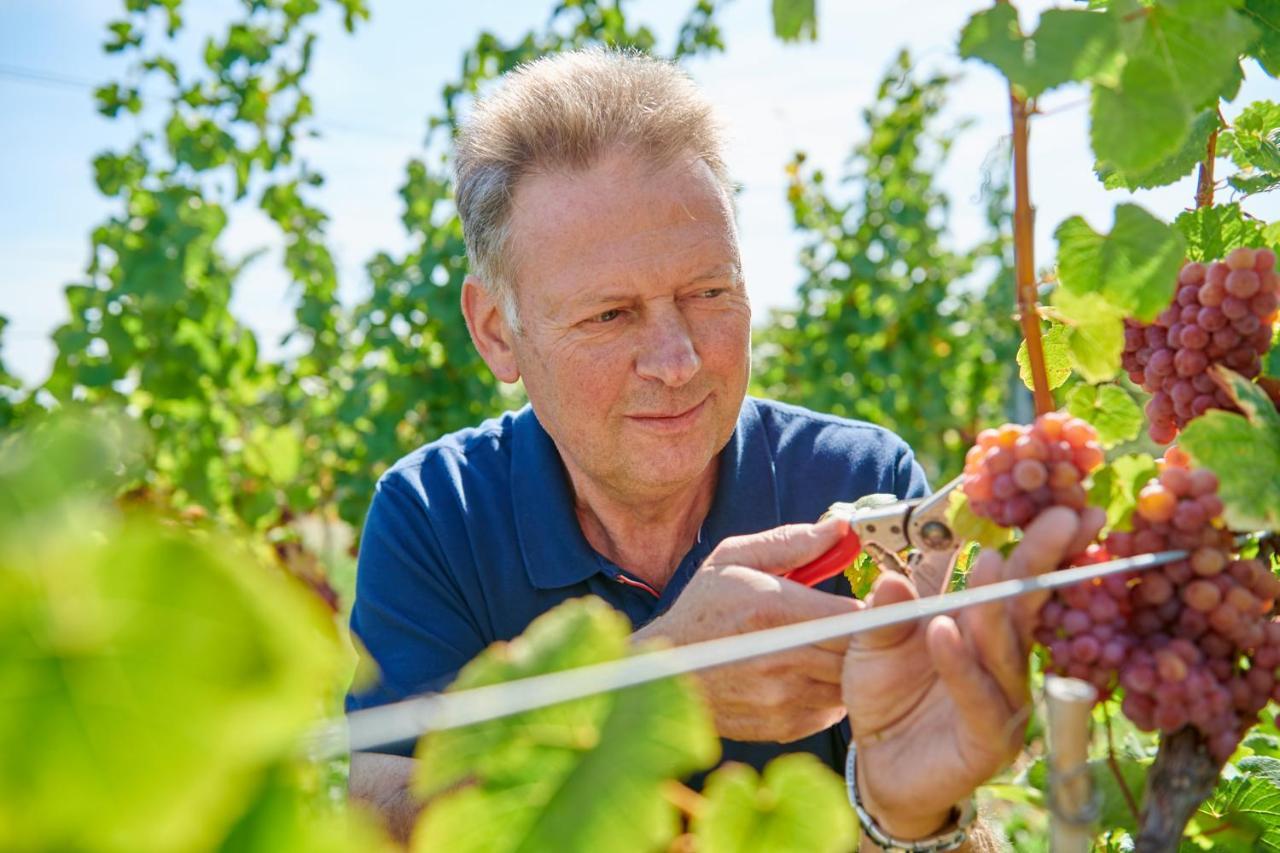 Weingasthaus Wisser Billigheim-Ingenheim Esterno foto