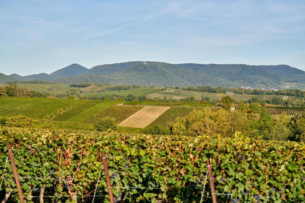 Weingasthaus Wisser Billigheim-Ingenheim Esterno foto